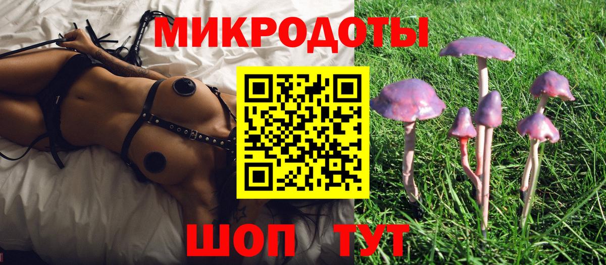 Псилоцибиновые грибы MAGIC MUSHROOMS  Галлюциногенные грибы Cubensis  Вход с VPN  Карабулак 